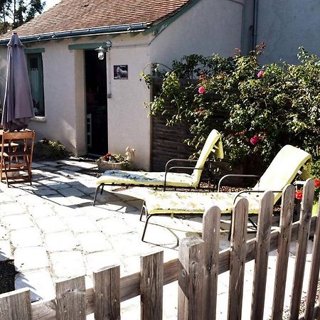La Taniere Du Loupblanc, 8Mn Du Zoo De Beauval Villa Châteauvieux Dış mekan fotoğraf